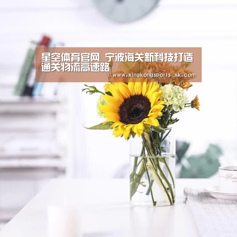 星空体育官网_宁波海关新科技打造通关物流高速路(图3) 星空体育官网_宁波海关新科技打造通关物流高速路(图3)