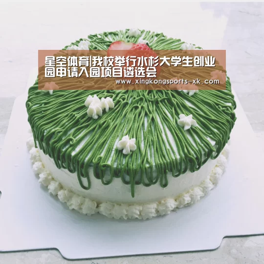 星空体育|我校举行水杉大学生创业园申请入园项目遴选会(图3) 星空体育官网