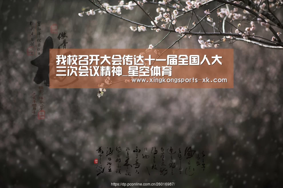 我校召开大会传达十一届全国人大三次会议精神_星空体育(图1)