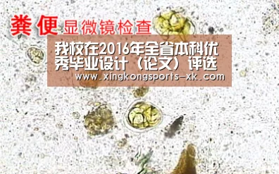 我校在2016年全省本科优秀毕业设计(论文)评选中获得佳绩|Spor(图4) 我校在2016年全省本科优秀毕业设计(论文)评选中获得佳绩|Spor(图4)