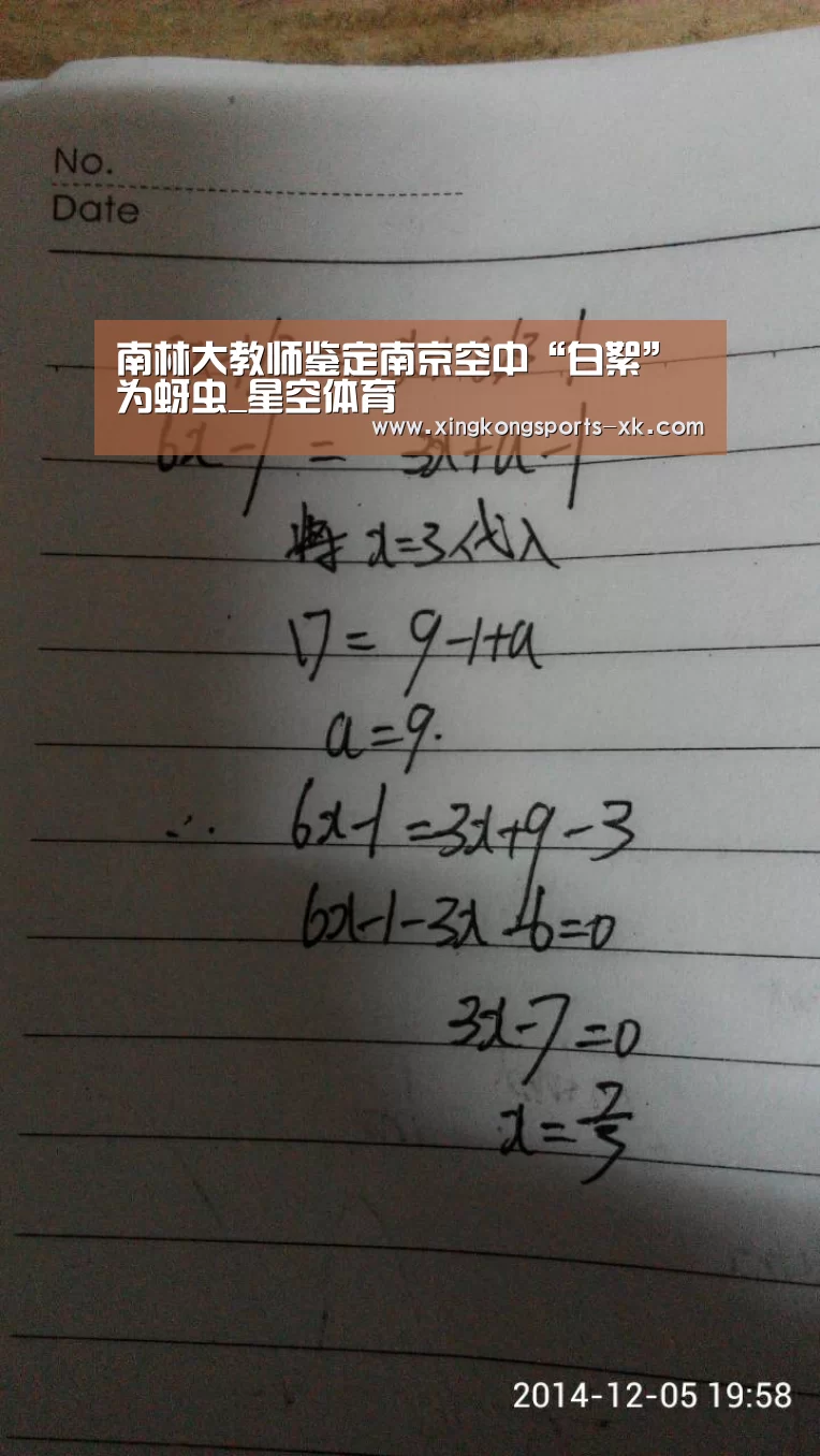 南林大教师鉴定南京空中“白絮”为蚜虫_星空体育(图1) 星空体育官网