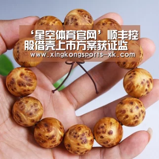 ‘星空体育官网’顺丰控股借壳上市方案获证监会有条件通过(图4) 星空体育官网