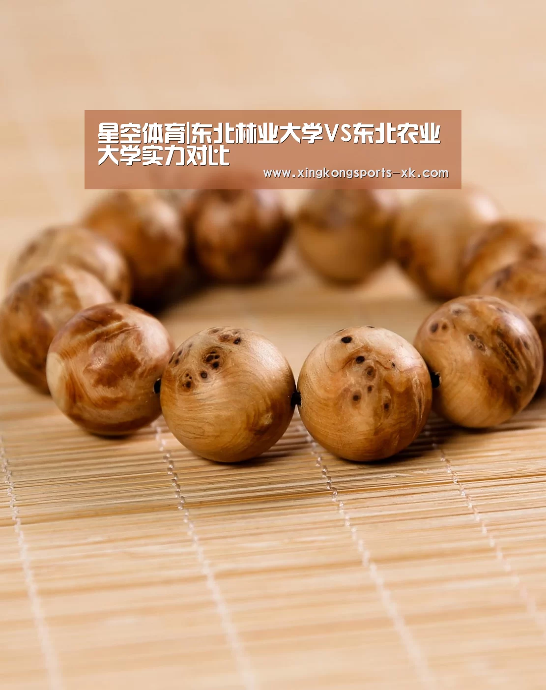星空体育|东北林业大学VS东北农业大学实力对比(图3) 星空体育|东北林业大学VS东北农业大学实力对比(图3)