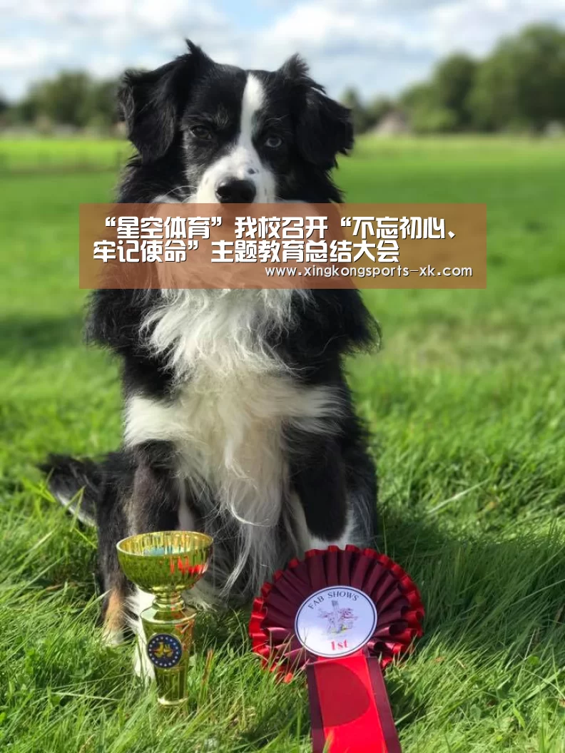 “星空体育”我校召开“不忘初心、牢记使命”主题教育总结大会(图4) “星空体育”我校召开“不忘初心、牢记使命”主题教育总结大会(图4)